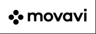 Movavi Video Converter