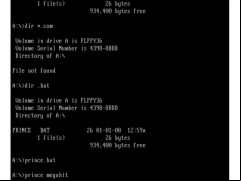 MS DOS - a-disk-work