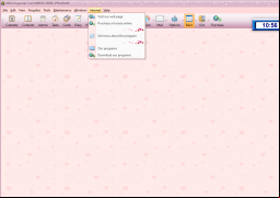 MSD Organizer Portable - internet-menu