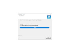 MSWLogo - how-to-install-process