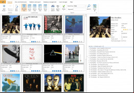 My Music Collection screenshot 1