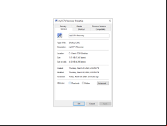 myCCTV Recovery - properties