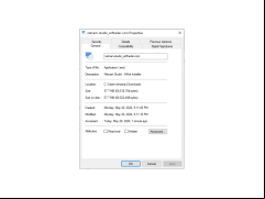 Netcam Studio - properties