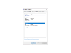 NetDog Porn Filter - details