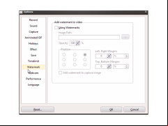 oCam - watermark-settings