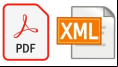 PDF to XML
