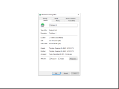 Photolemur - properties