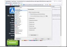 Portable Avant Browser - browsing-options