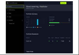 Project Manager - home-screen