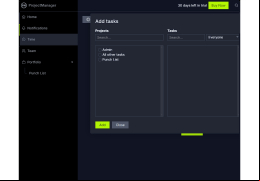 Project Manager - additional-tasks