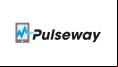 Pulseway Manager