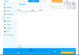 RealPlayer - playlist