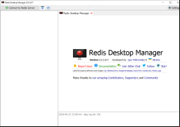 Redis Desktop Manager - main-screen