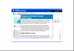 Registry Mechanic - help
