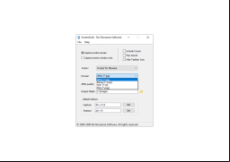 ScreenGrab - formats