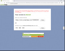 Screenleap screenshot 3