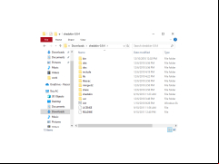 Shed Skin - main-files