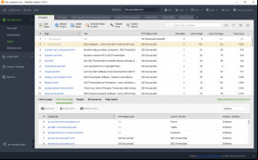 Site Auditor screenshot 1