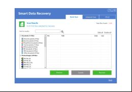 Smart Data Recovery - result