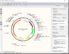 SnapGene Viewer screenshot 1