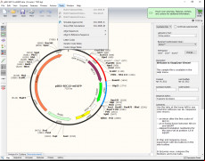 SnapGene Viewer screenshot 3