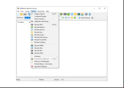 SoftPerfect Network Scanner - options