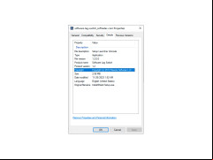 Software Lag Switch - details