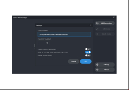 SSHFS-Win Manager - settings