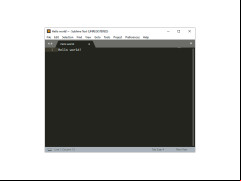 Sublime Text - text-example