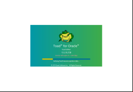 TOAD for Oracle - main-screen