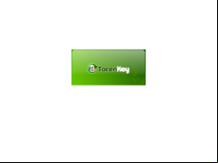 Torenkey - loading-screen