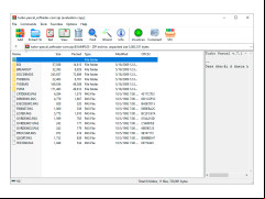 Turbo Pascal - examples-folder