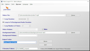 Video Looper screenshot 1