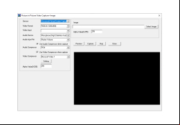 VideoCap SDK ActiveX - picture-in-picture