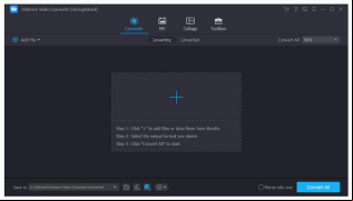 Vidmore Video Converter screenshot 1