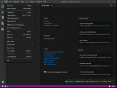 Visual Studio Code - new-file