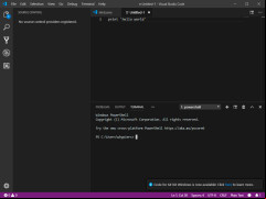 Visual Studio Code - terminal