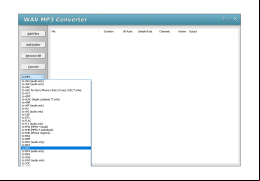 WAV MP3 Converter - format