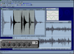 Wavosaur screenshot 1