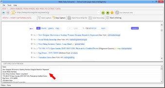 Web Data Extractor screenshot 1