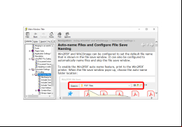 Win2PDF - auto-name