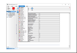 WinAudit - languages