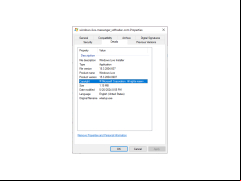 Windows Live Messenger - details