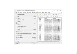 WinOrganizer - file-menu