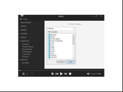 Winyl - languages
