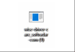Wise Driver Care - logo
