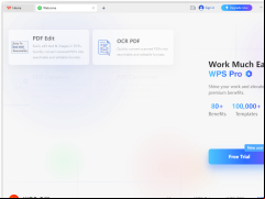 WPS Office for Windows - wps-pro