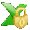 XLS Padlock logo