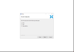 XviD Codec - media-type