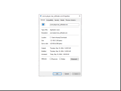 Zoom Player MAX - properties